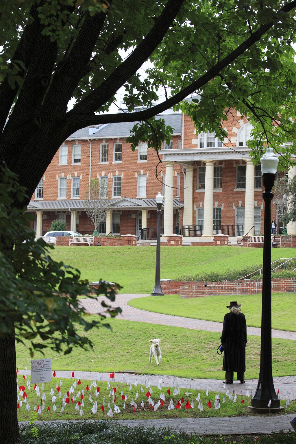 Person walking Dog at Raleigh University