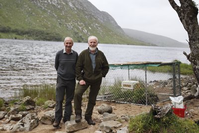 Glenveagh