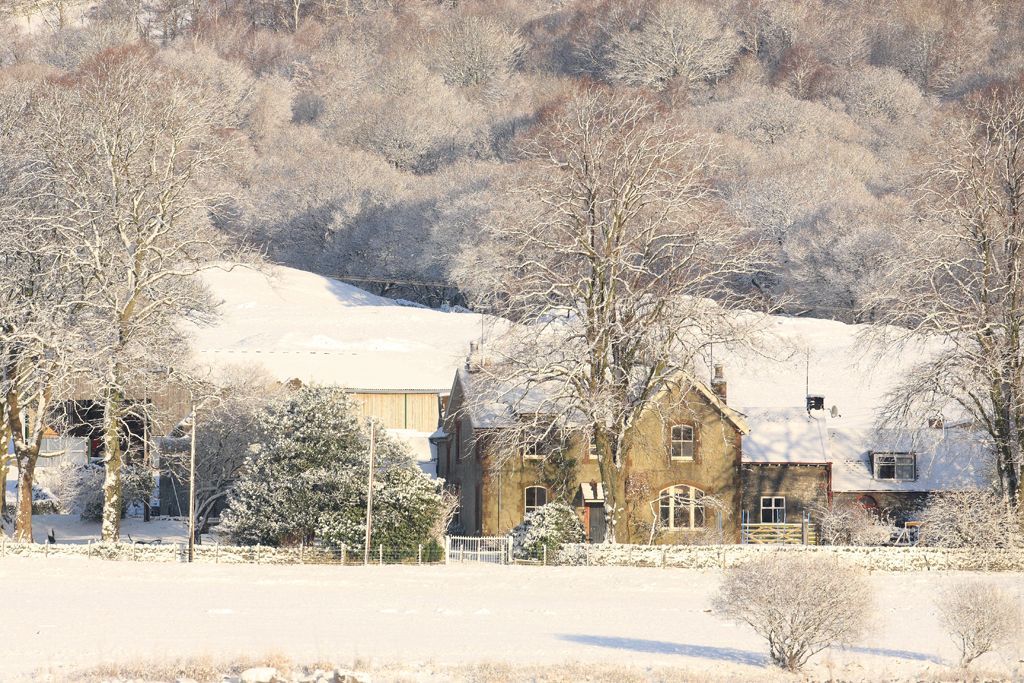 Winter Farmhouse