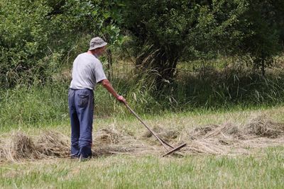 Man Raking Grass
