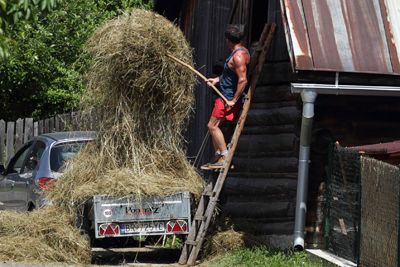 Bring in the Hay