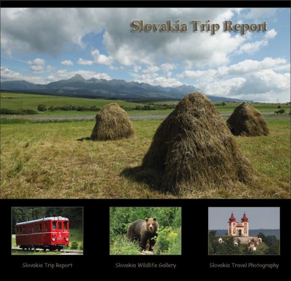 Slovakia Trip Report