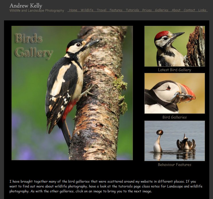 New Birds Page