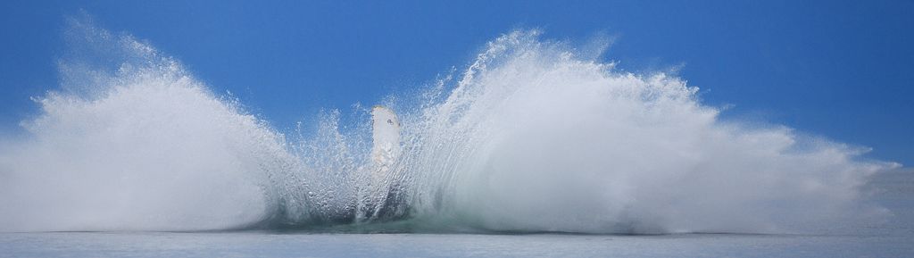 Humpback Whales Gallery One