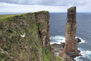 Fulmar Flying by Old Man of Hoy