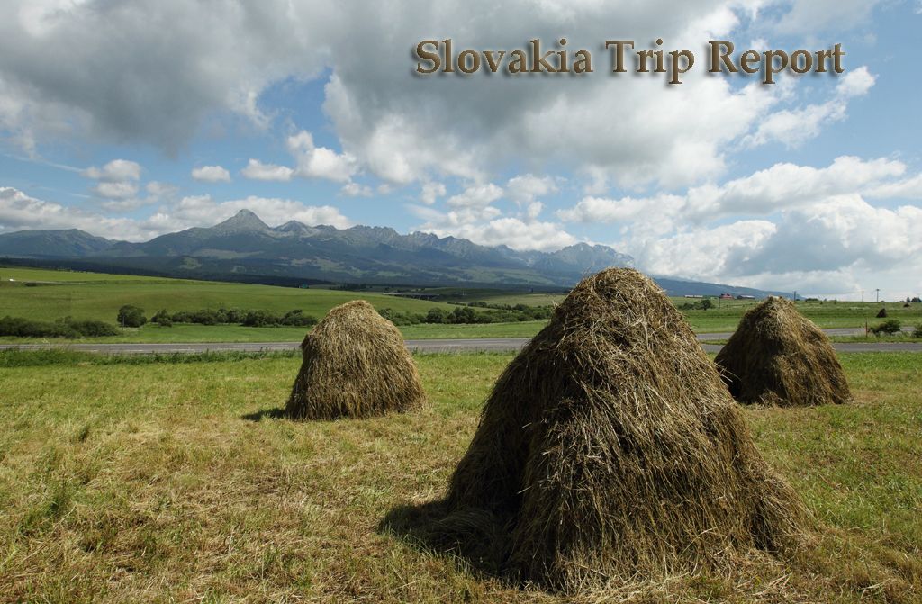 Slovakia Trip Report