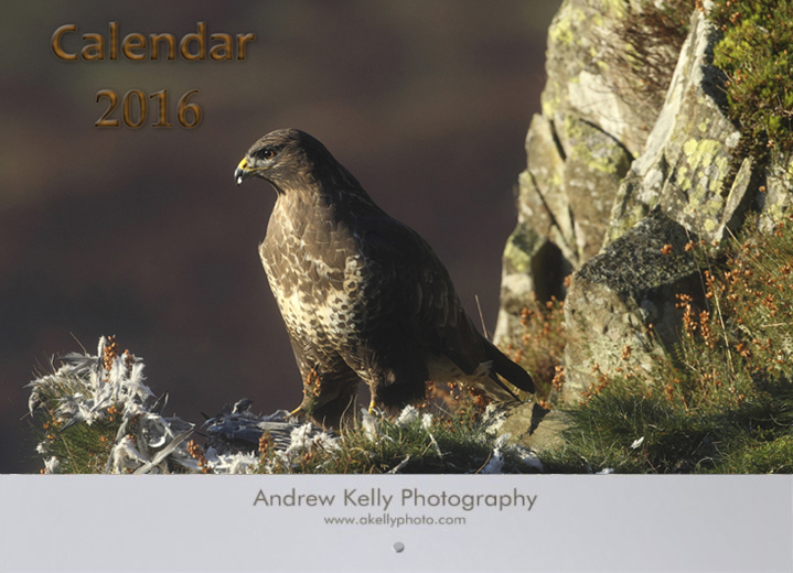 Calendar 2012