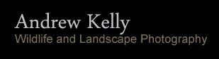 Andrew kelly Wildlife and Landscape Photography