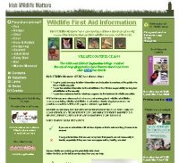 Irish Wildlife Matters