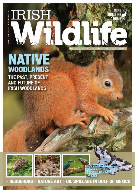 IWT Magazine Cover